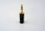 nys231bg-1.jpg