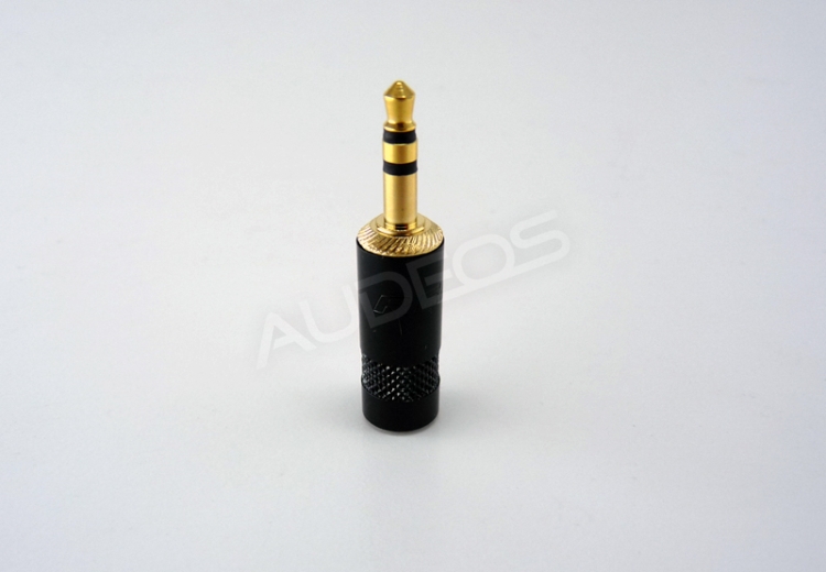nys231bg-1.jpg