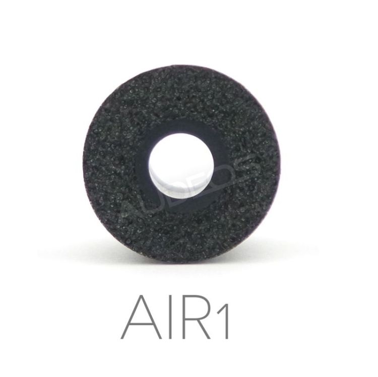 INAIRS AIR1 #1.jpg
