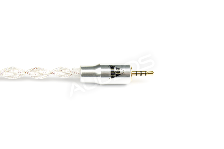 egoaudio_gin_2.png