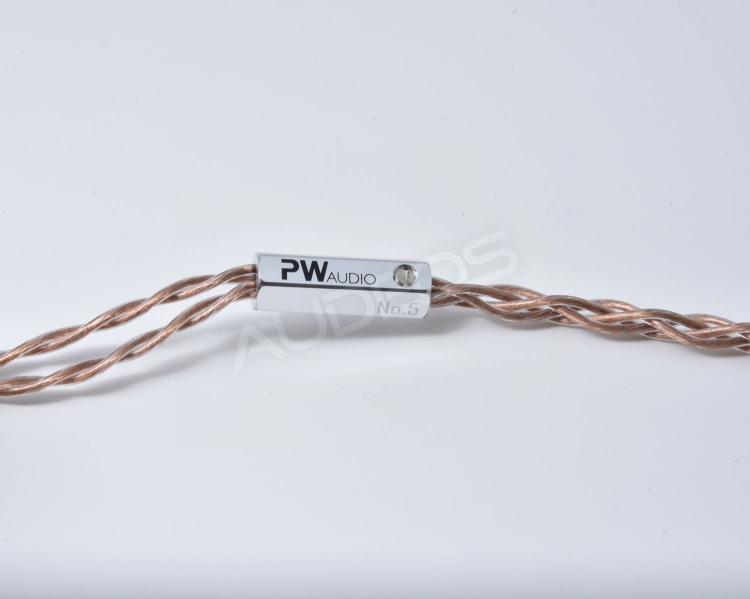 PWaudio No5 #4.jpg