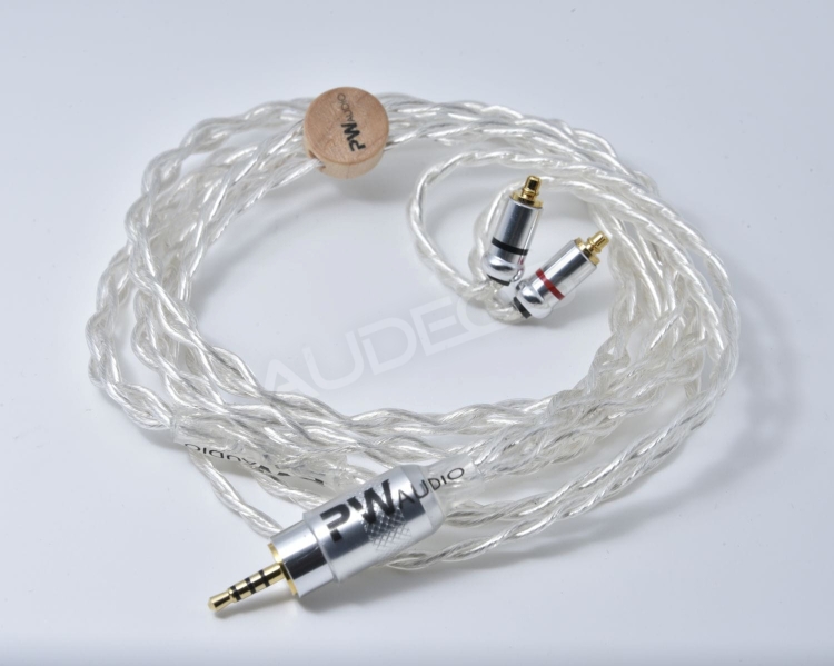 PWaudio No10 #2.jpg