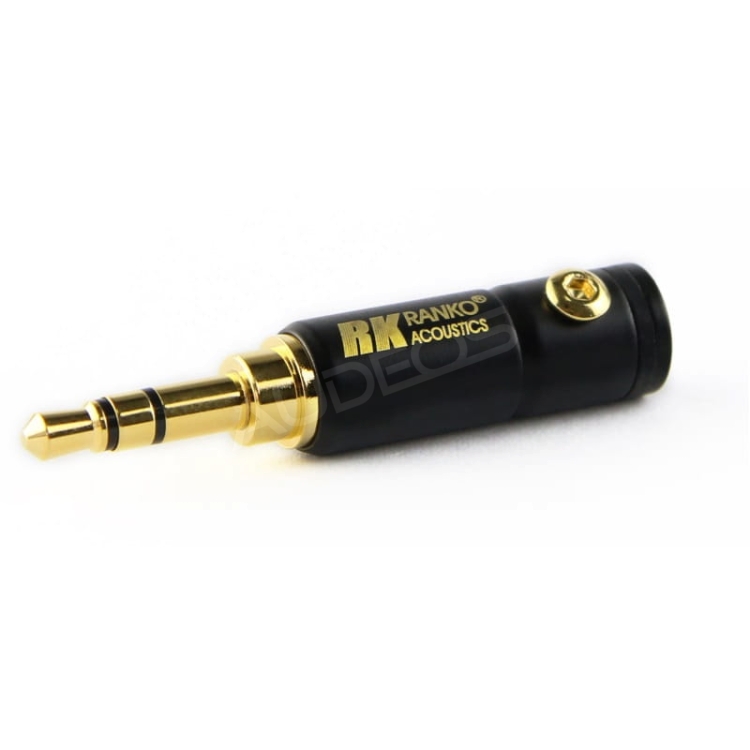 REP-100 3.jpg
