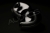 Jaspe black #3.jpg