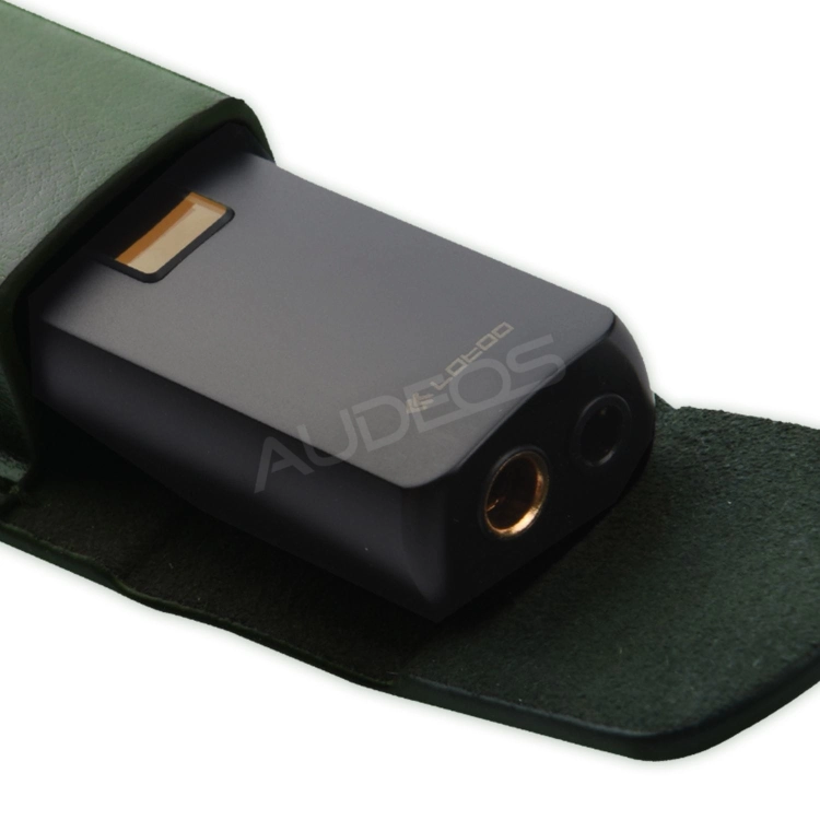Lotoo case PAW S1 #17.jpg