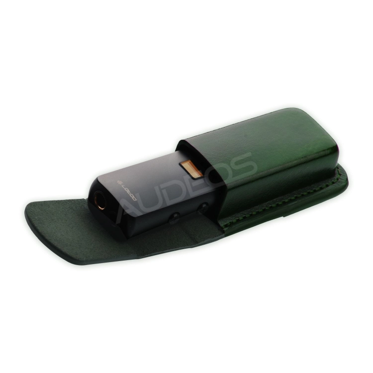 Lotoo case PAW S1 #16.jpg