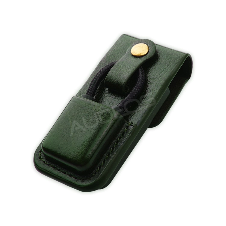 Lotoo case PAW S1 #15.jpg