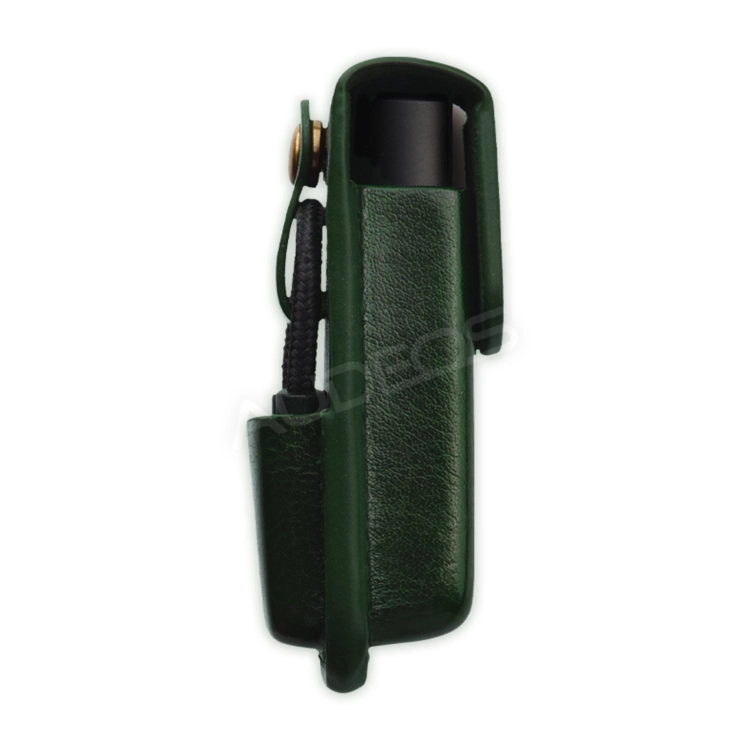 Lotoo case PAW S1 #13.jpg