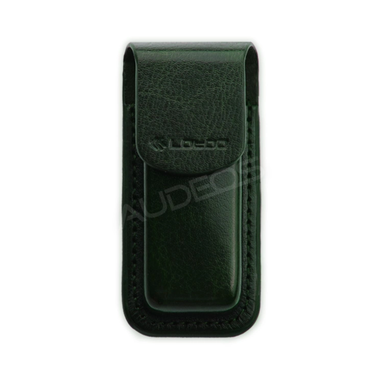 Lotoo case PAW S1 #12.jpg