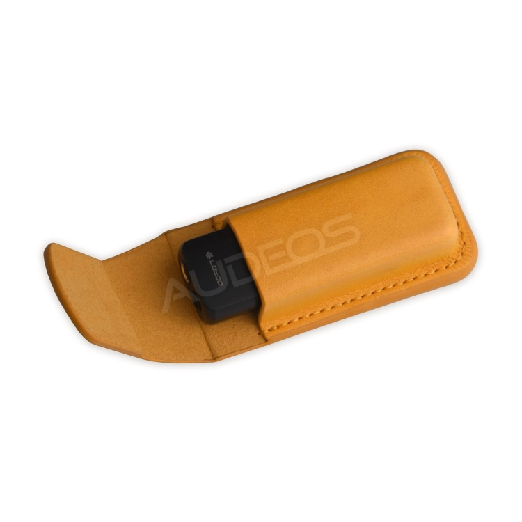 Lotoo case PAW S1 #10.jpg