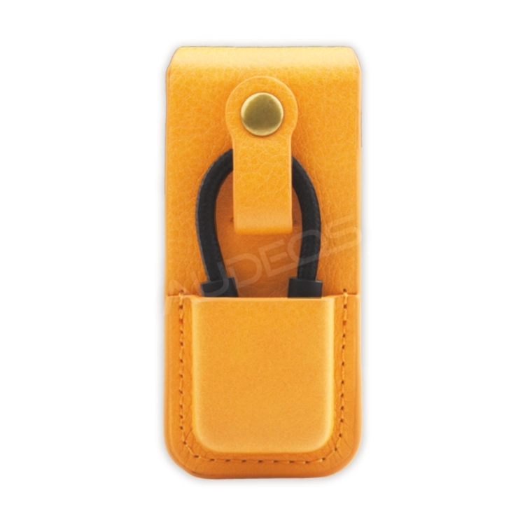 Lotoo case PAW S1 #7.jpg