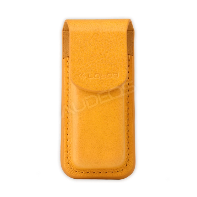 Lotoo case PAW S1 #6.jpg