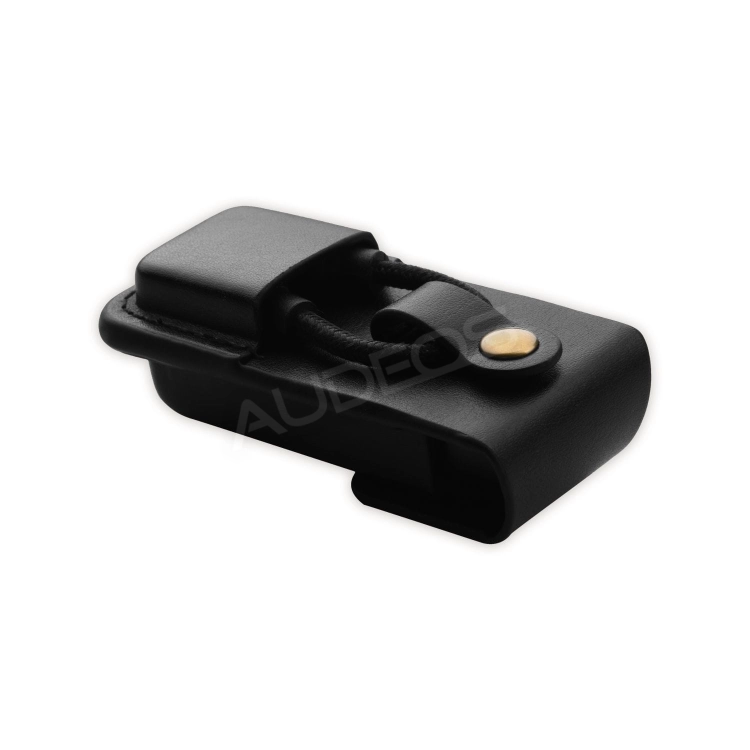Lotoo case PAW S1 #4.jpg