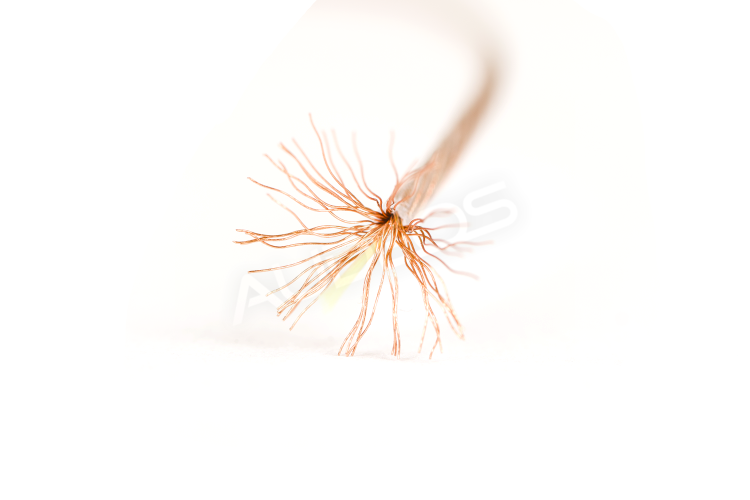 occ7n.png