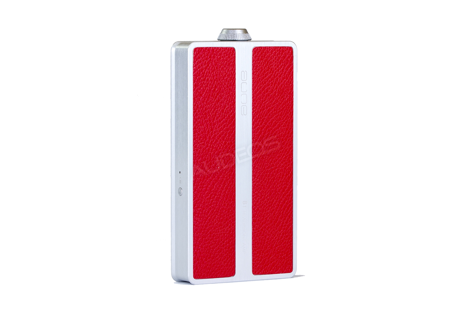 b1-silver-back.jpg