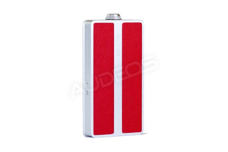 b1-silver-back.jpg