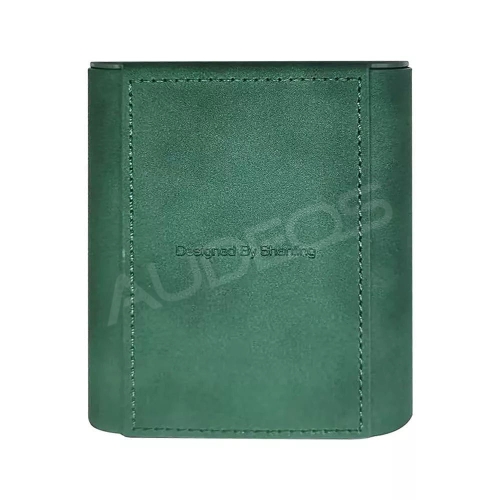 Etui Shanling H5 zielone
