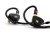 Effect Audio x Elysian Acoustic Labs PILGRIM:NOIR