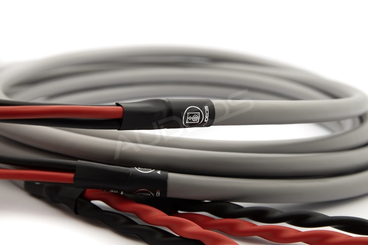 Canare 4S11G x Chord Ohmic bi-wiring 3.jpg