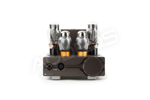 Feliks Audio Euforia Evo