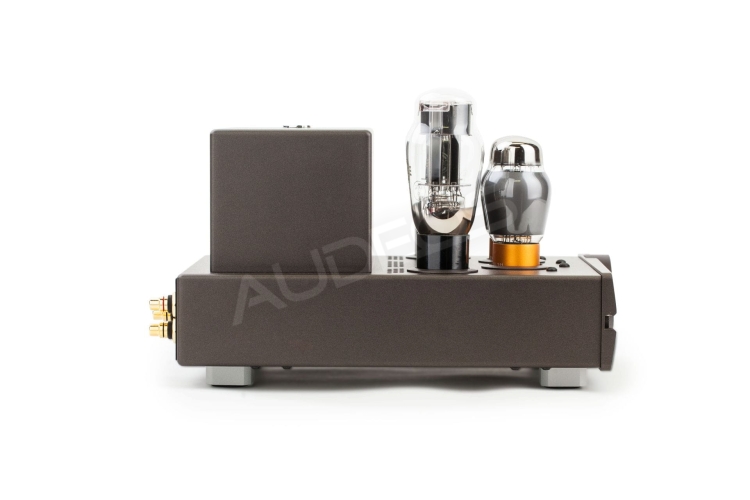 Feliks Audio Euforia Evo