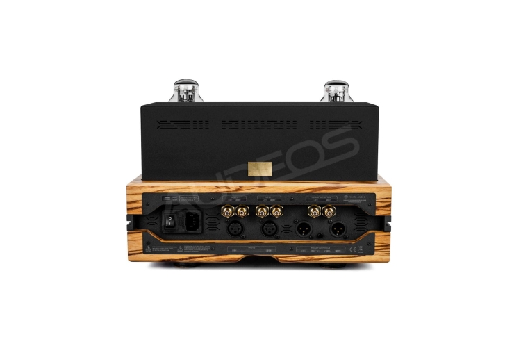 Feliks Audio Envy Performance Zembrano