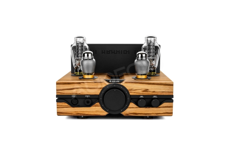 Feliks Audio Envy Performance Zembrano