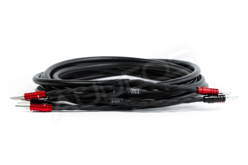 Przewód głośnikowy Audeos Canare 4S11G Black x Chord Ohmic