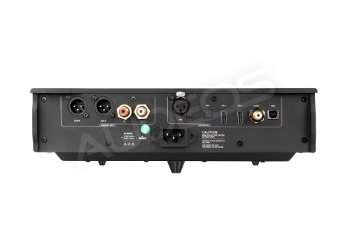 DAC R2R Garlubidor Divinity