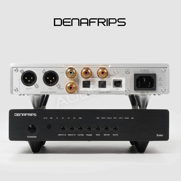 DAC R2R DENAFRIPS ERATO