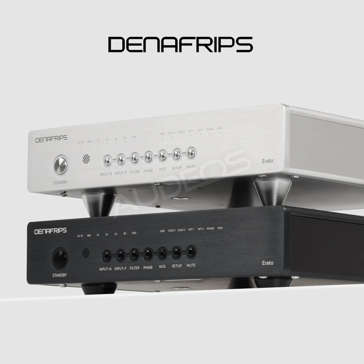 DAC R2R DENAFRIPS ERATO