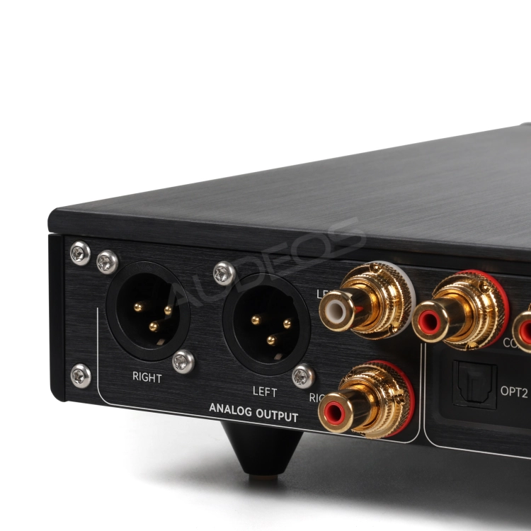 DAC R2R DENAFRIPS ERATO