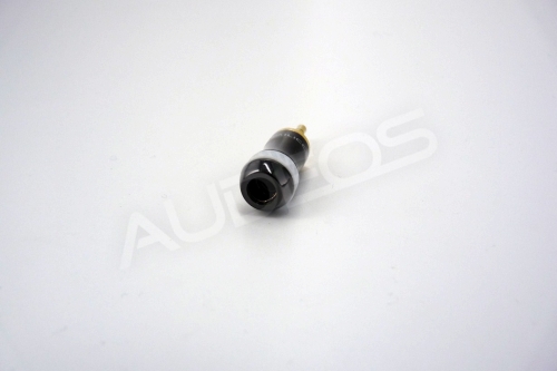 P1050811 (Kopiowanie).jpg