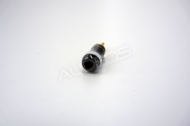 P1050811 (Kopiowanie).jpg