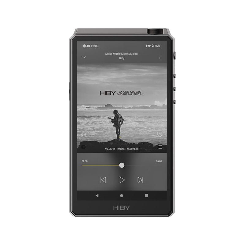 HiBy RS6 szary