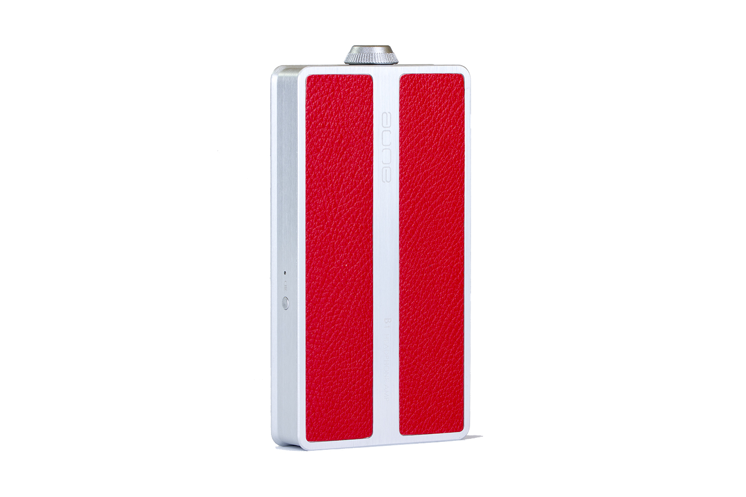 b1-silver-back.jpg